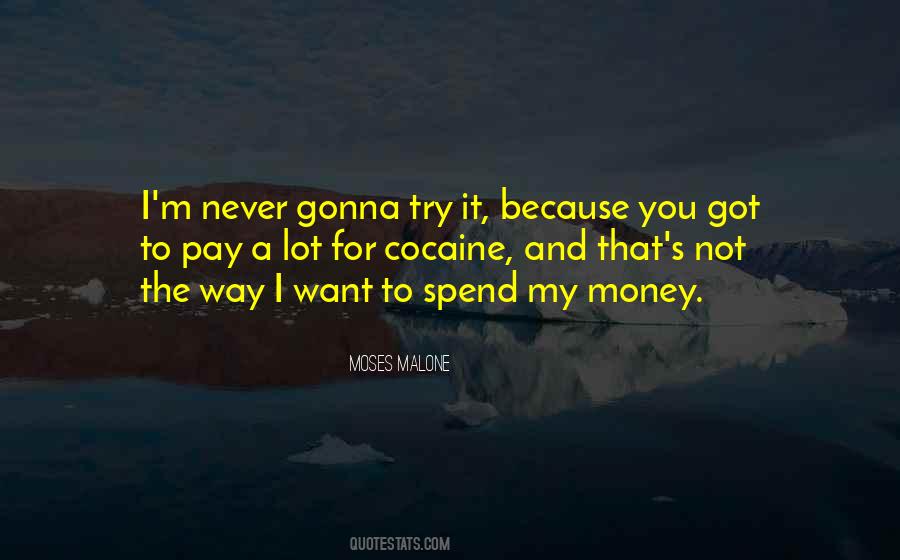 You Got To Try Quotes #875699