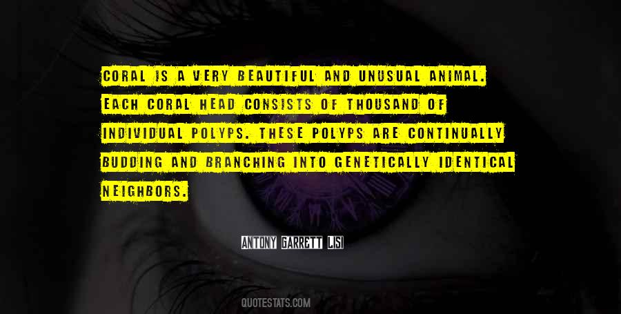 Beautiful Animal Quotes #1401523