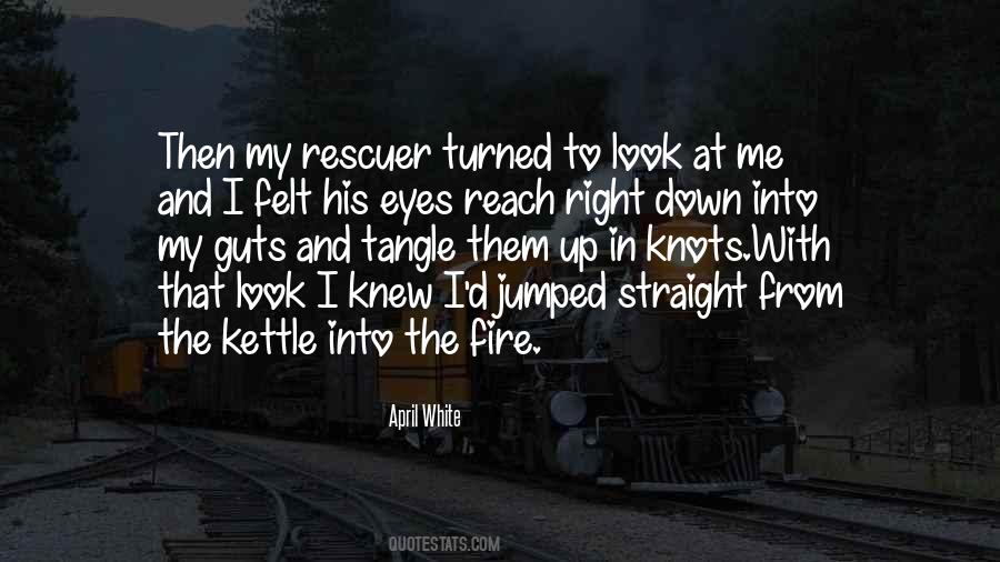 Fire In My Eyes Quotes #1325668