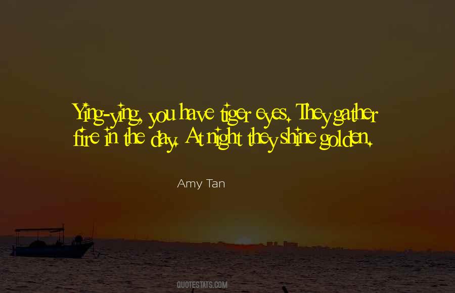 Fire In The Eyes Quotes #1176767