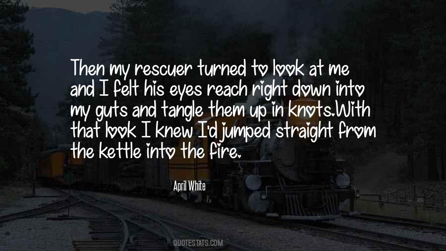 Fire In The Eyes Quotes #1325668