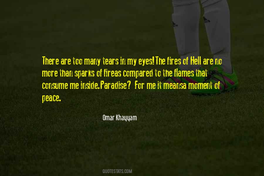 Fire In The Eyes Quotes #921639