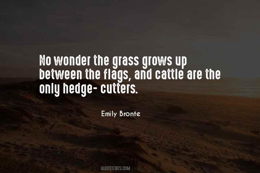 The Grass Quotes #1007771