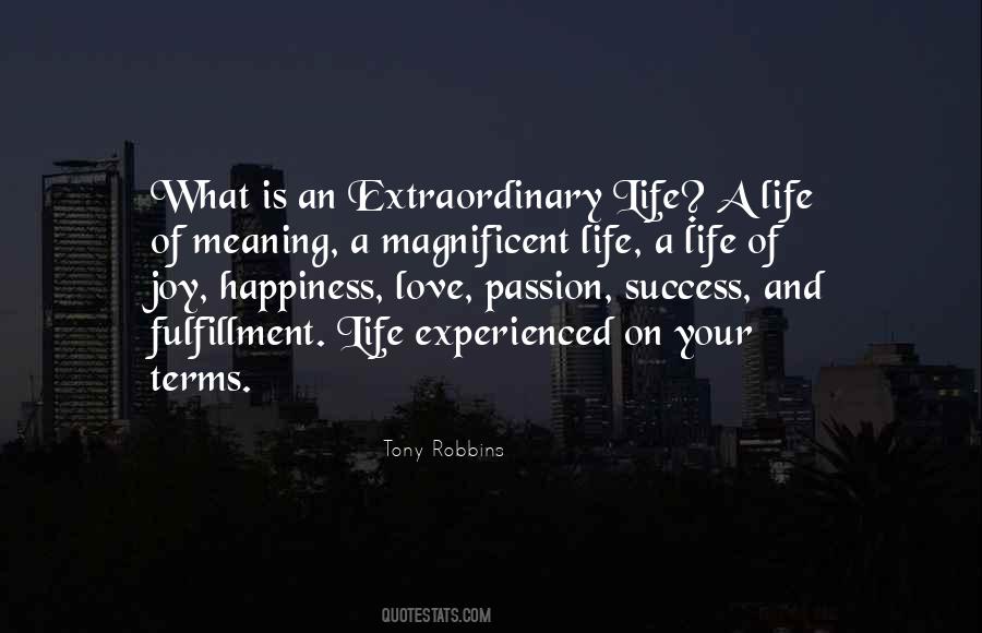 Happiness Fulfillment Quotes #312291