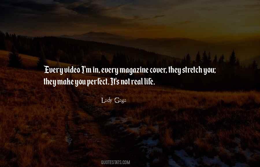 Perfect Lady Quotes #1201186
