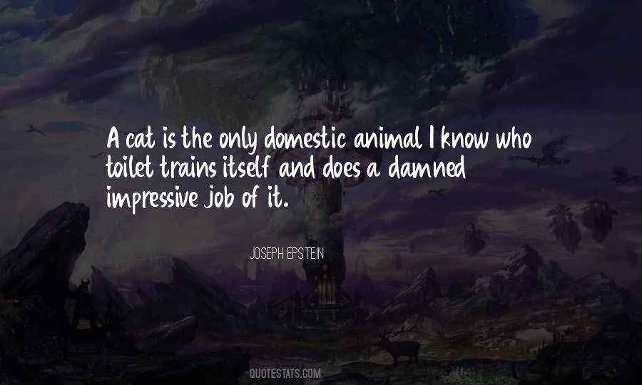 Cat Animal Quotes #1022341