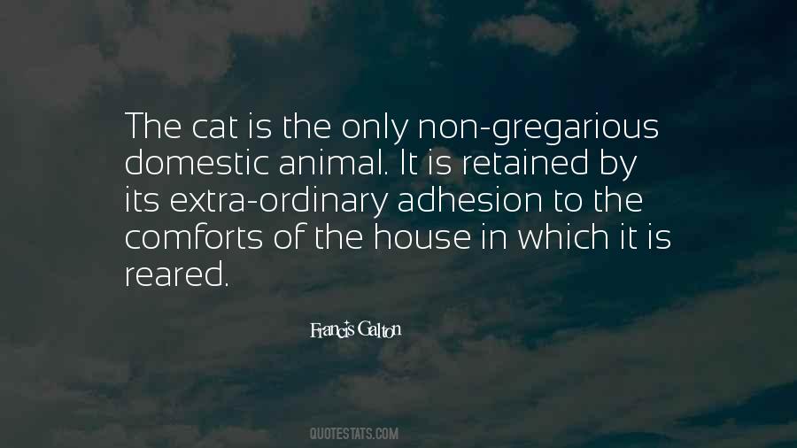 Cat Animal Quotes #1259011