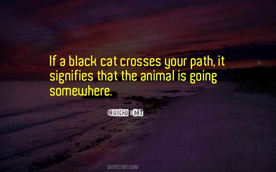 Cat Animal Quotes #1519156