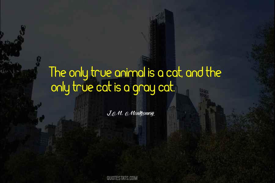 Cat Animal Quotes #1594388