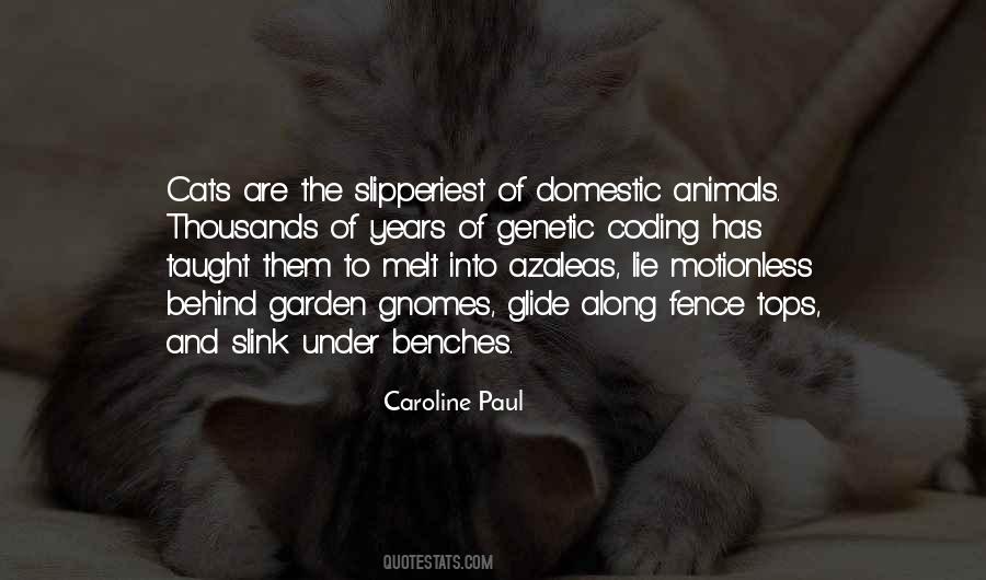 Cat Animal Quotes #165533