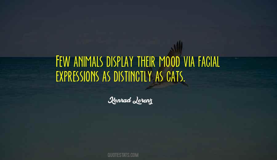 Cat Animal Quotes #390666