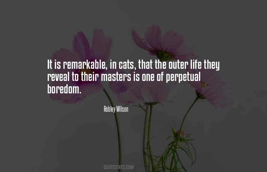 Cat Animal Quotes #467087