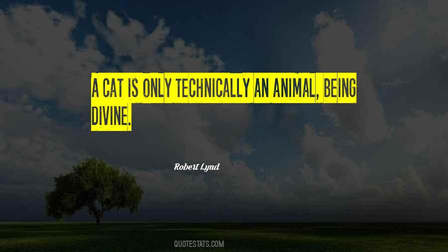 Cat Animal Quotes #761984