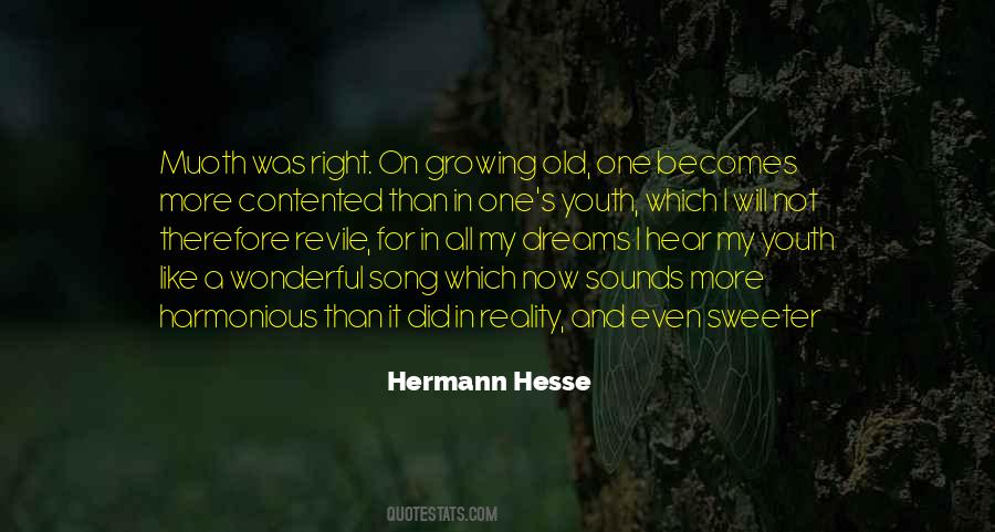 Wonderful Song Quotes #338787