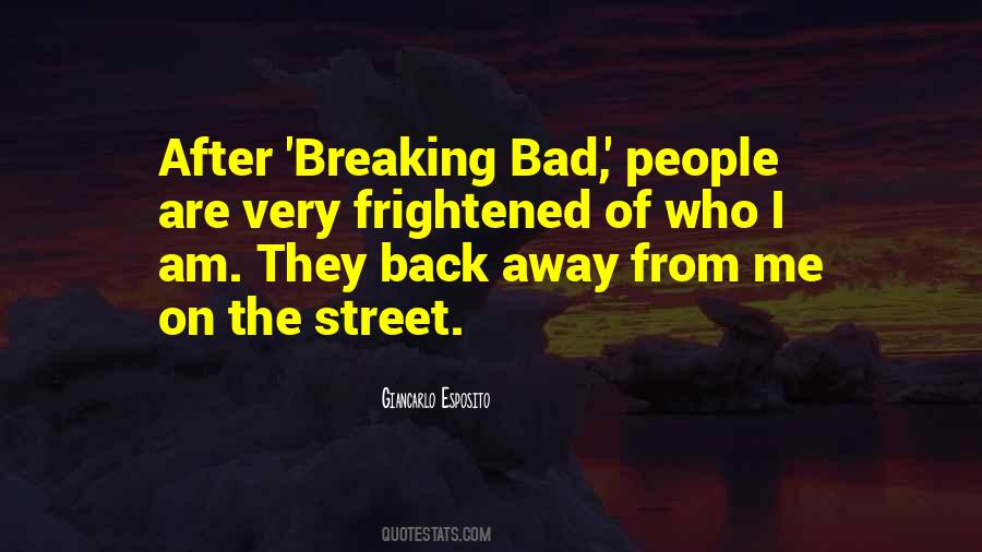 The Breaking Bad Quotes #1875509