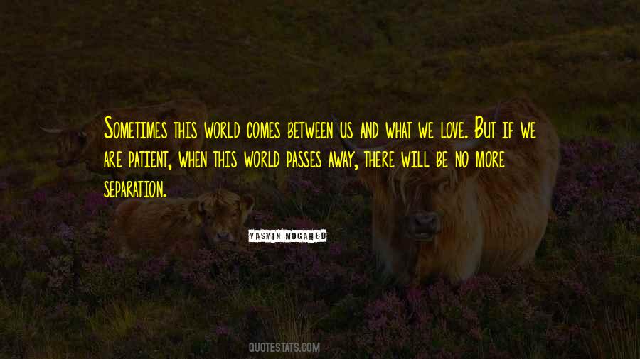 Passing Love Quotes #1218215