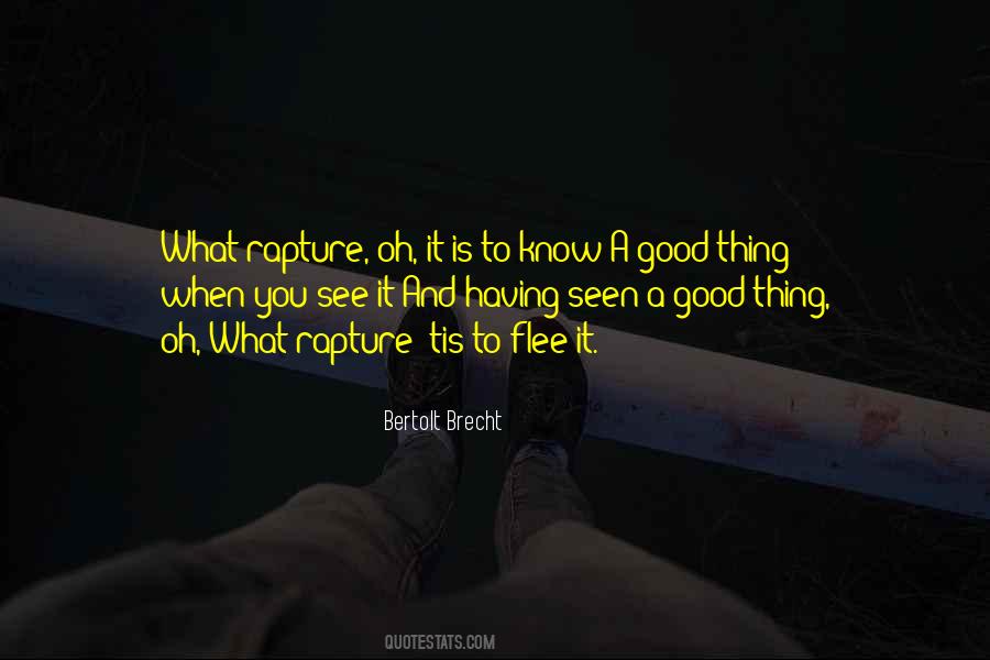 Quotes About Having Good Things #1407896
