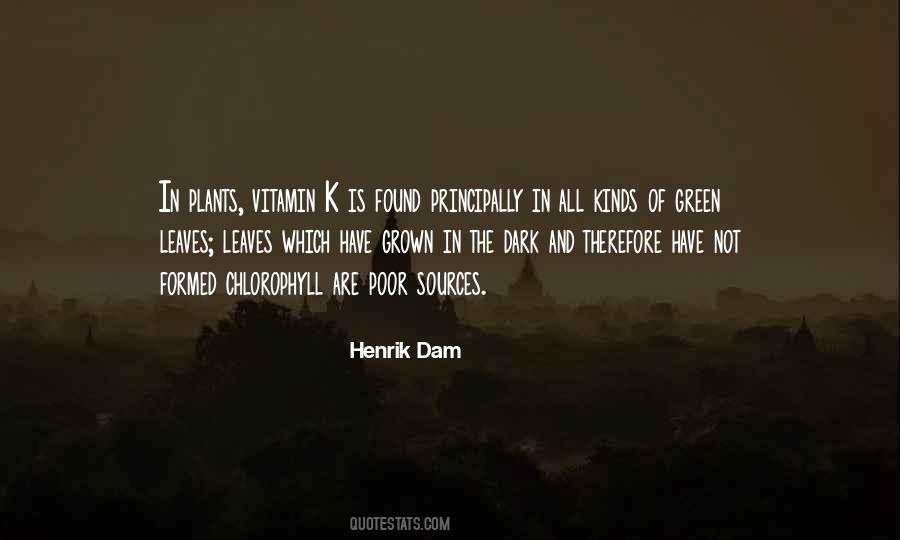 Some Vitamin D Quotes #1402405