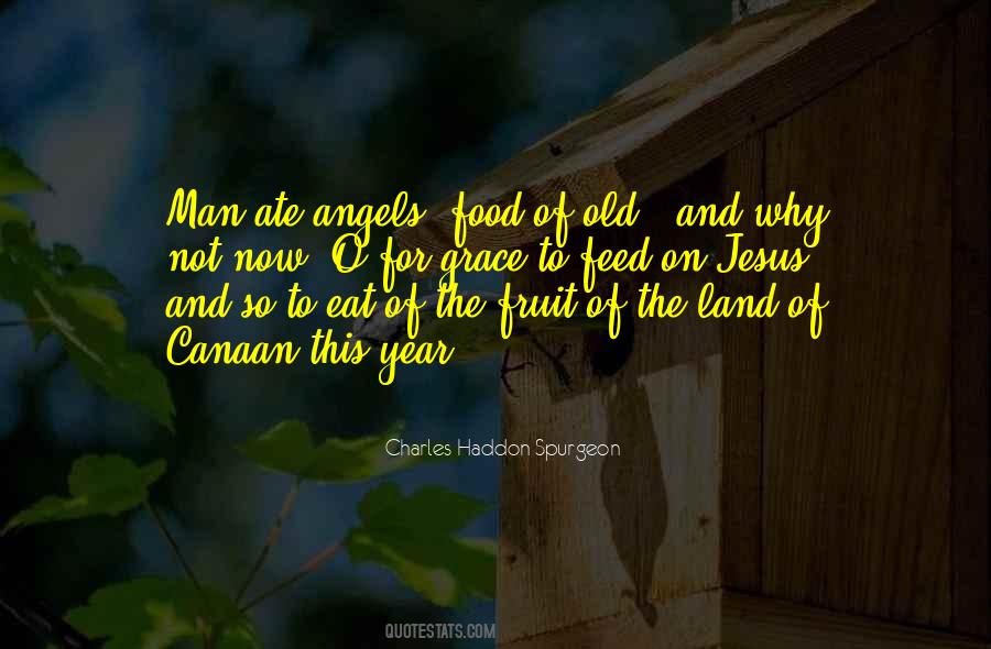 Jesus Food Quotes #225745