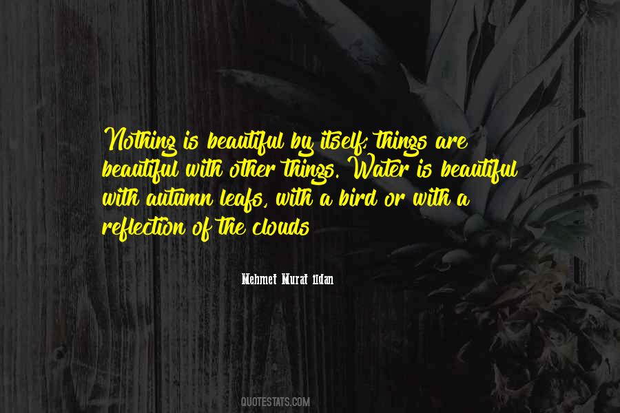 The Beauty Of Autumn Quotes #1319717