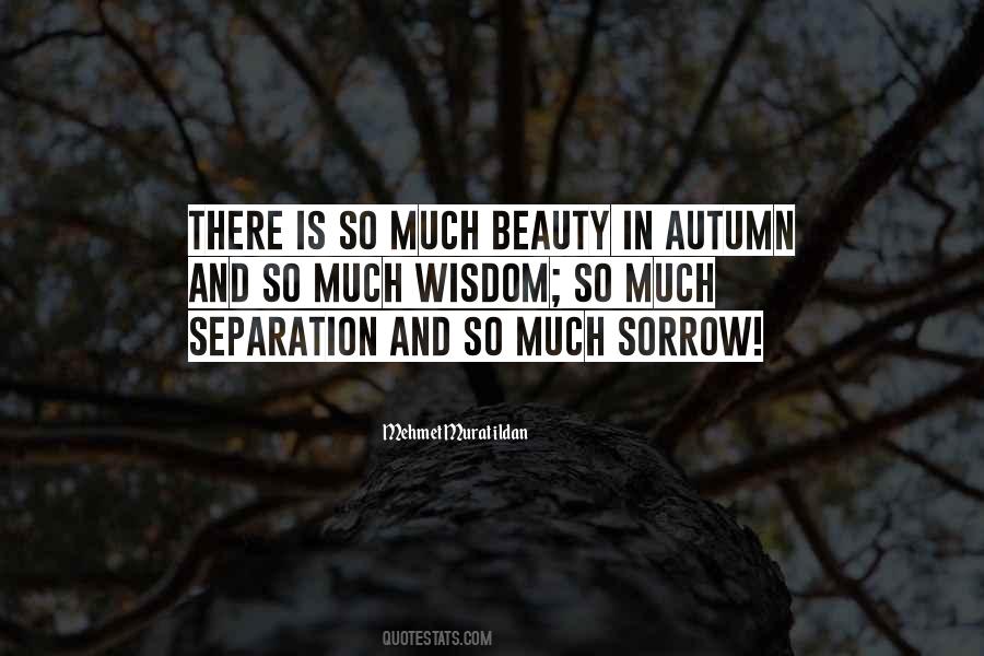 The Beauty Of Autumn Quotes #1764006