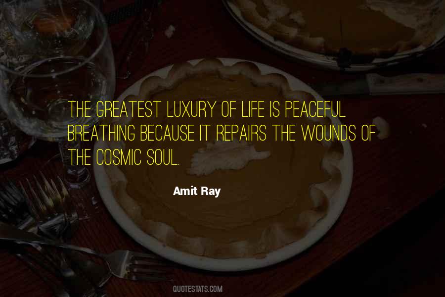 Peace Attitude Quotes #952410