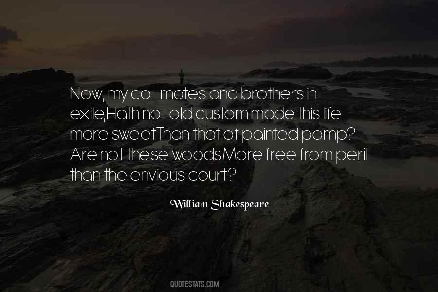 Old Brother Quotes #402010