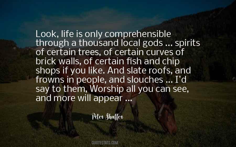 I Will Worship You Quotes #46890