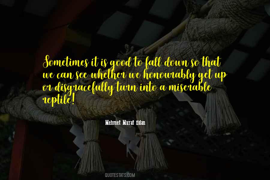 Sometimes We Fall Quotes #940482