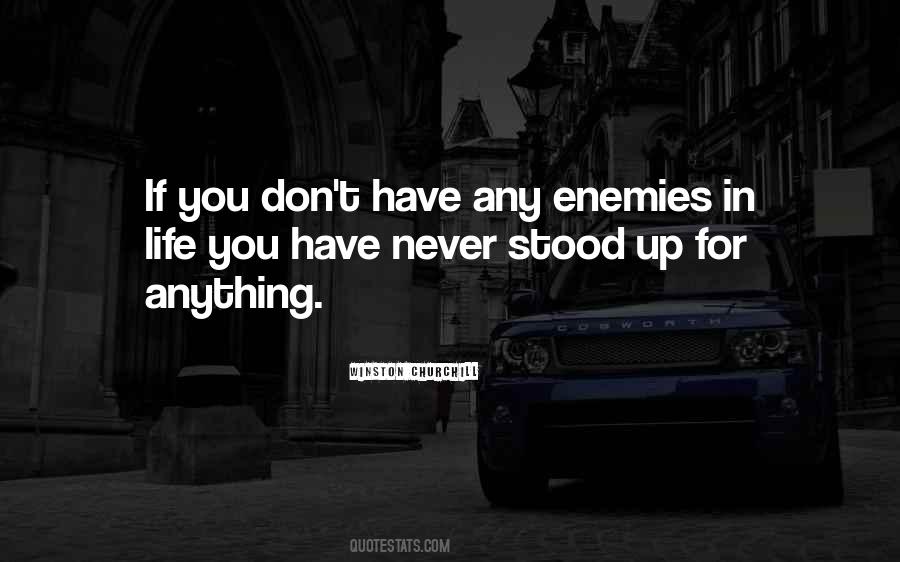 Quotes About Having Enemies #26910