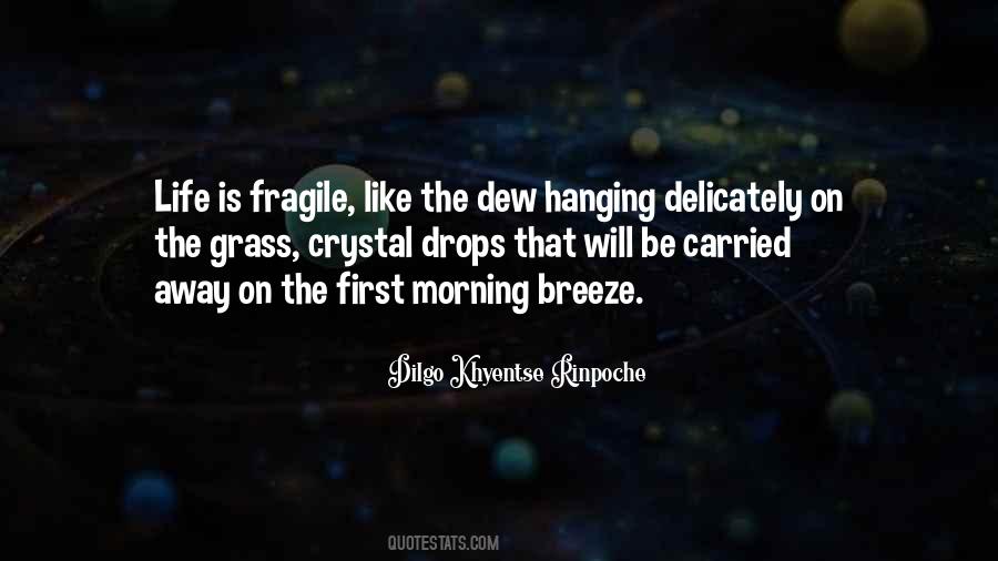 First Morning Quotes #1399881