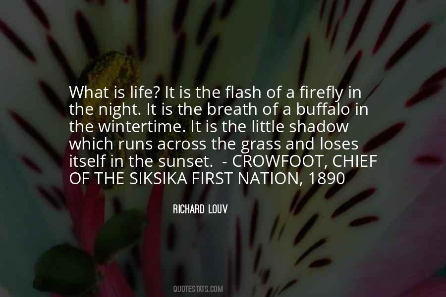 First Nation Quotes #1121253