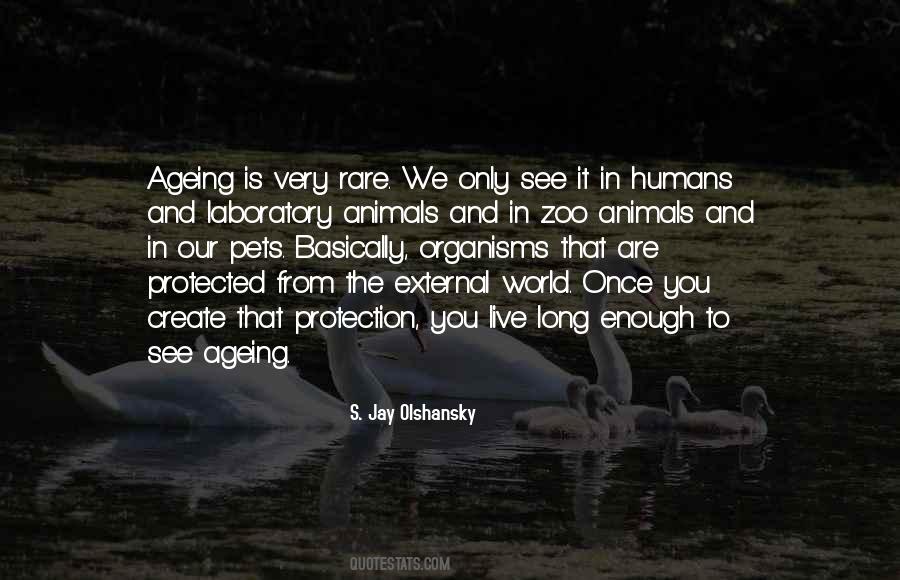 The Very Rare Quotes #876792
