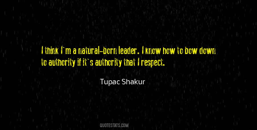 Respect Authority Quotes #1261305