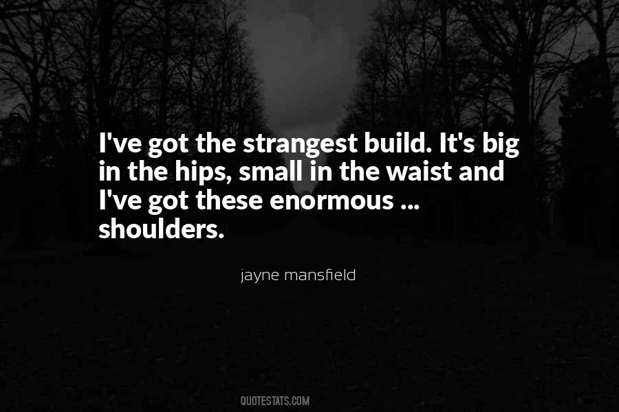 Quotes About Having Big Shoulders #1348928