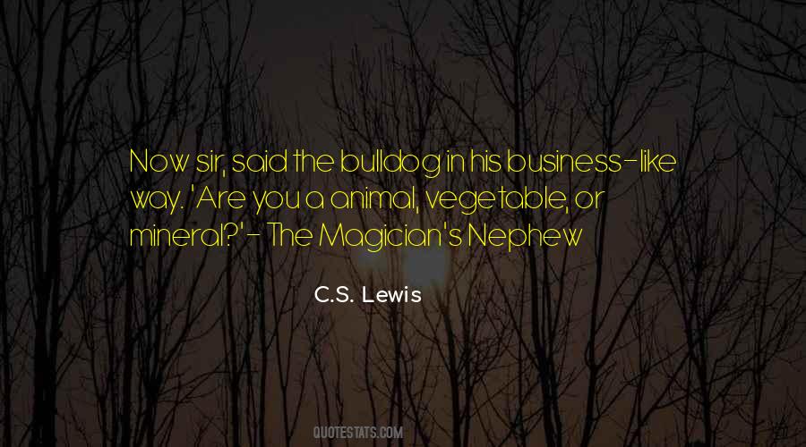 Quotes About A Nephew #96865