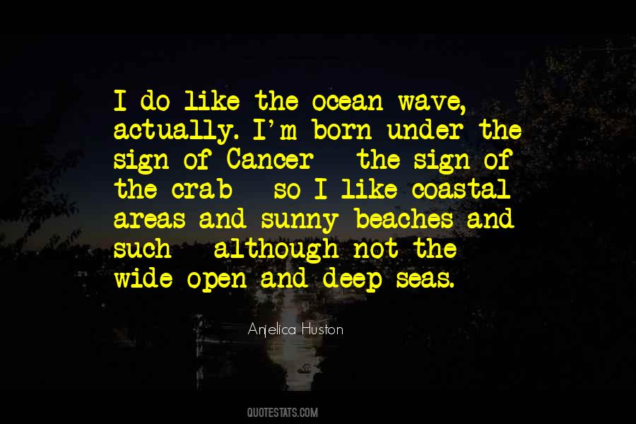 Wave From The Ocean Quotes #186421