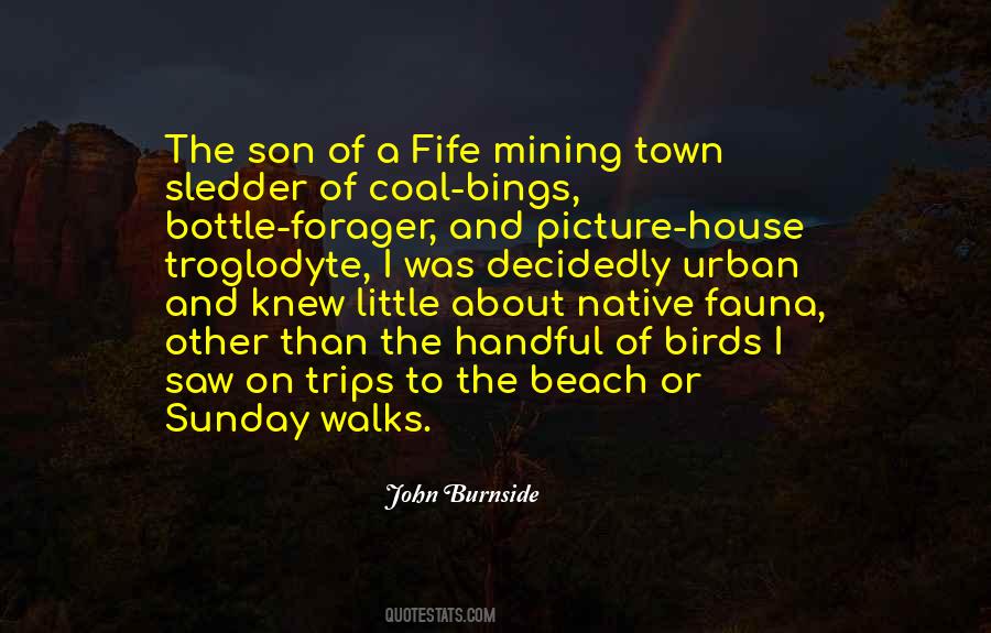 Sunday At The Beach Quotes #1042753