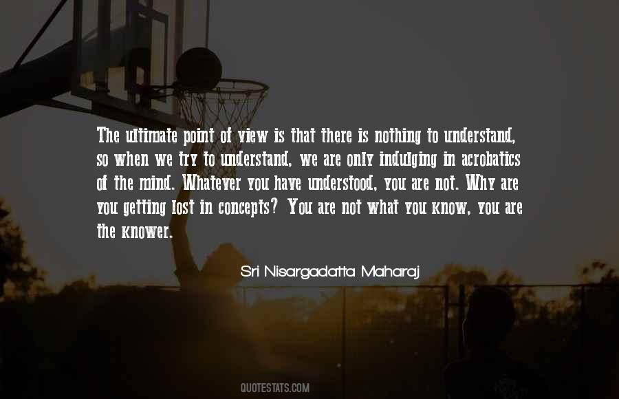 What We Lost Quotes #1807999