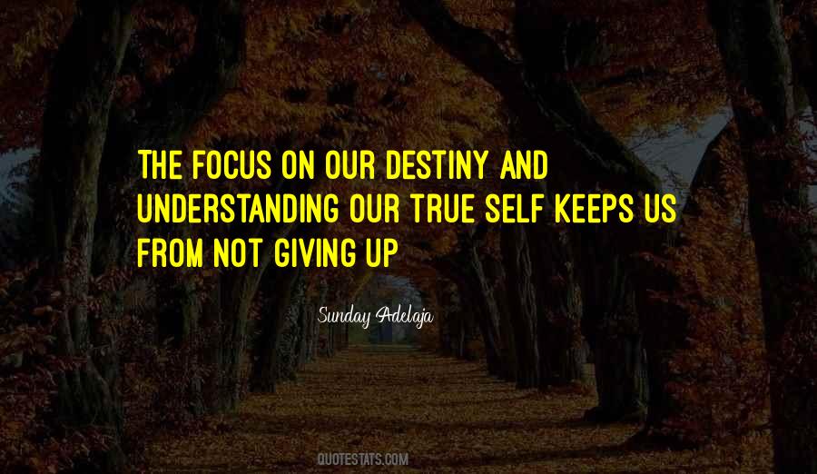 Focus Up Quotes #610066