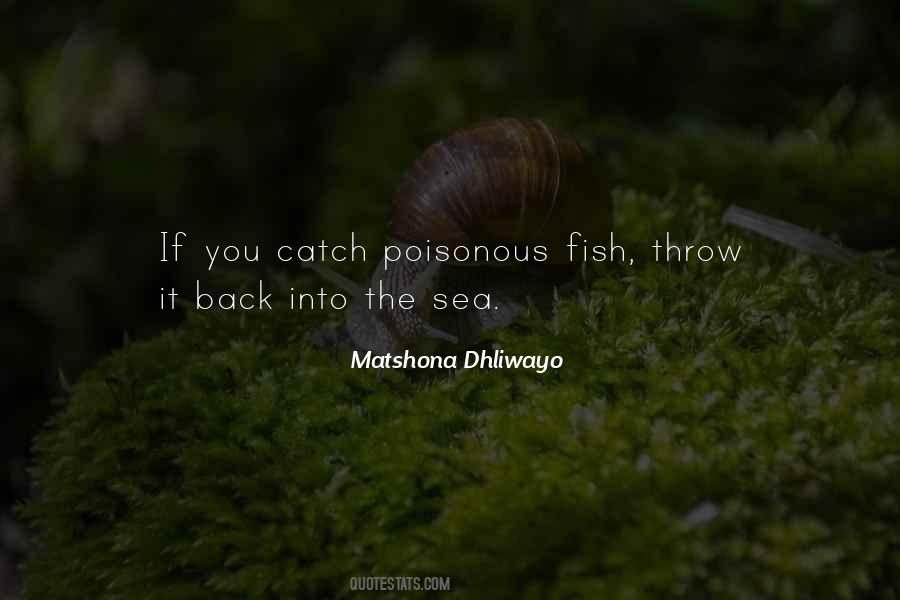 Fish Catch Quotes #270391