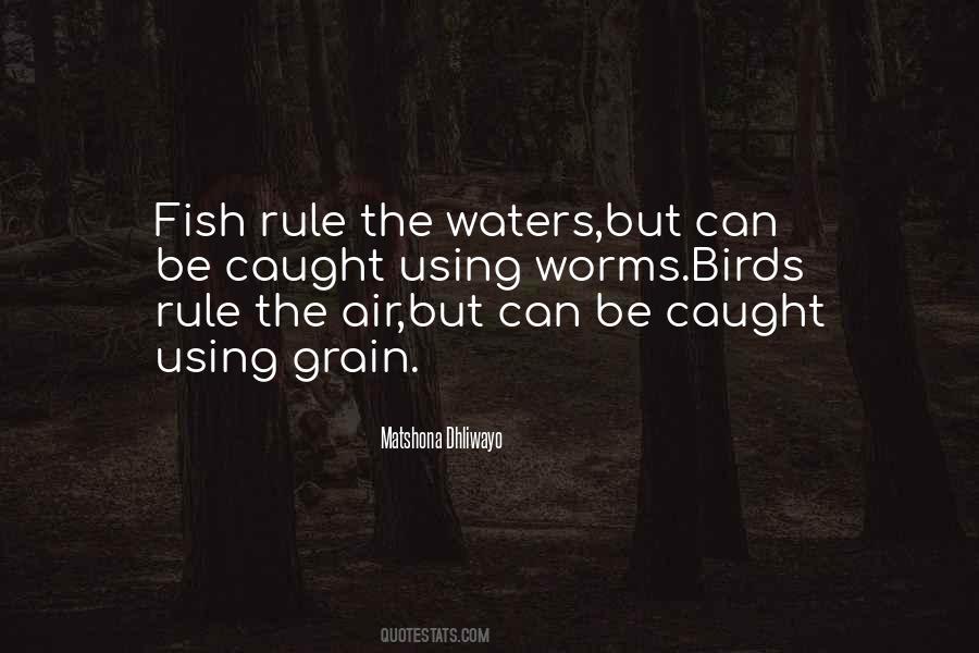 Fish Caught Quotes #36941