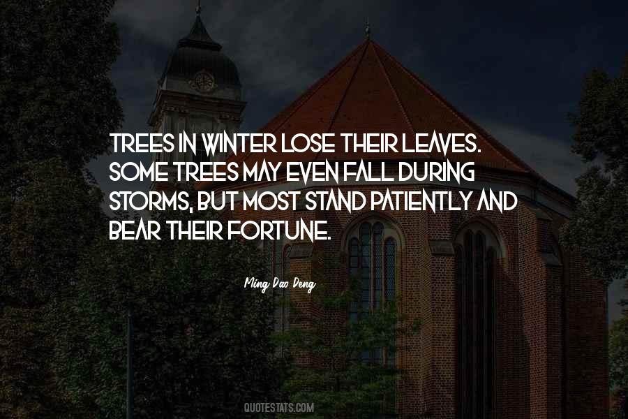 Winter Bear Quotes #1748169