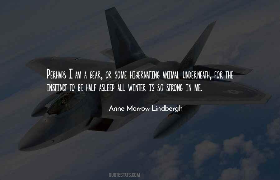 Winter Bear Quotes #860051