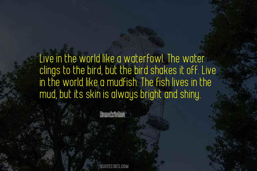 Fish In Water Quotes #870442