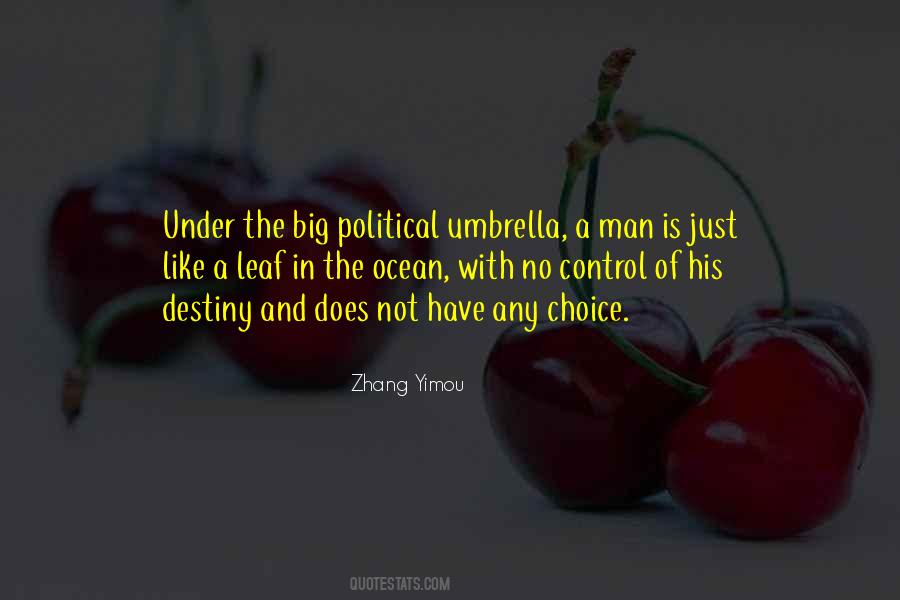 Political Choice Quotes #266797