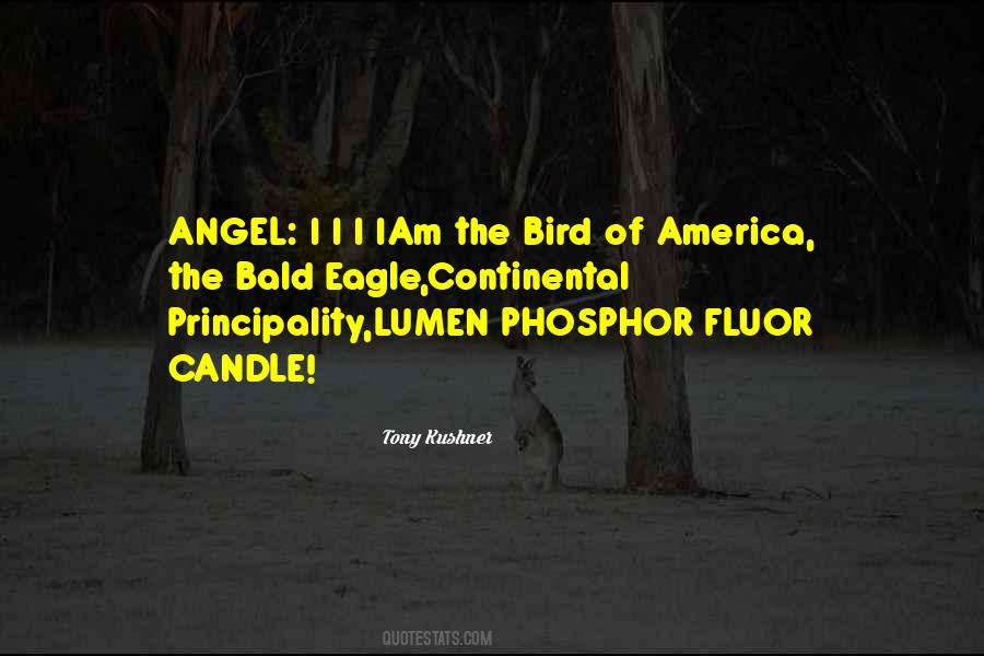 I Am America Quotes #525746