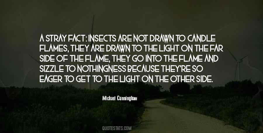 Go Into The Light Quotes #56032