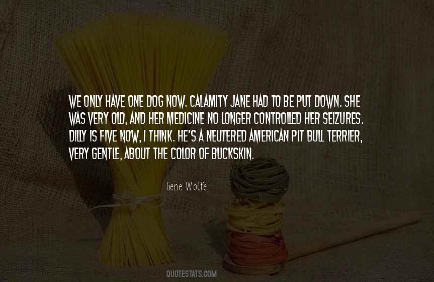 We Only Have Now Quotes #1718979