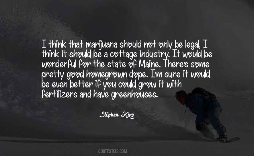 If I Could Have You Quotes #501671